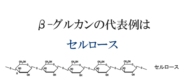ソフィβ-グルカンとは