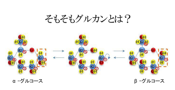 ソフィβ-グルカンとは