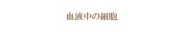 血液中の細胞